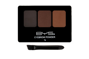 Пудра для бровей Trio Bold Brows BYS, 1 г цена и информация | Карандаши, краска для бровей | kaup24.ee