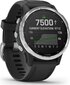 Garmin fēnix® 6S Solar Silver/Black цена и информация | Nutikellad (smartwatch) | kaup24.ee