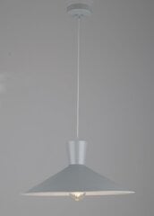 Ledea светильник Elista Grey цена и информация | Потолочный светильник, 38 x 38 x 24 см | kaup24.ee