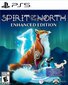 PlayStation 5 mäng Spirit of The North Enhanced Edition hind ja info | Arvutimängud, konsoolimängud | kaup24.ee