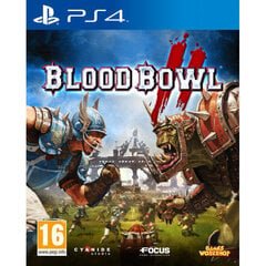 Sony PS4 Blood Bowl 2 hind ja info | Arvutimängud, konsoolimängud | kaup24.ee