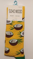 Носки мужские SOHO MOOD цена и информация | Мужские носки | kaup24.ee