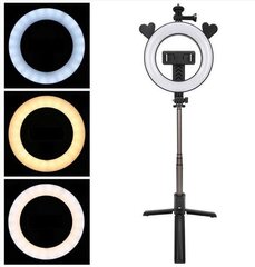 Hallo Vlogging Tripod P40D3 Селфи штатив с LED лампой и пультом управления цена и информация | Моноподы для селфи («Selfie sticks») | kaup24.ee
