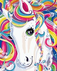 Набор для рисования по номерам Unicorn, 30x40 см цена и информация | Живопись по номерам | kaup24.ee