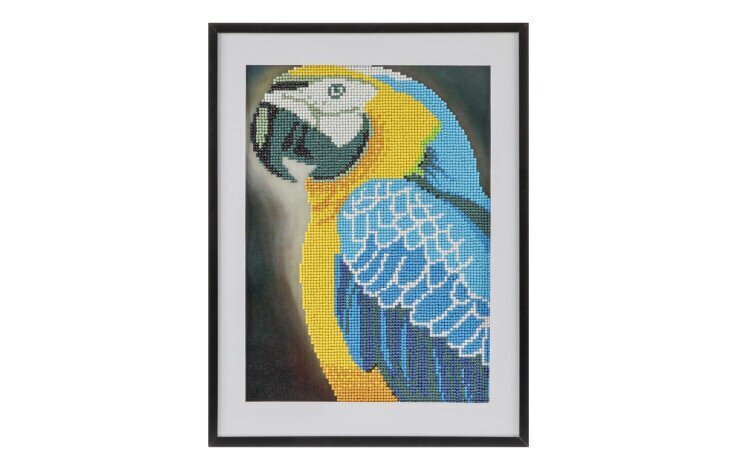 Kaunistamise komplekt Diamond Painting Parrot, 30x40 cm цена и информация | Teemantmaalid, teemanttikandid | kaup24.ee