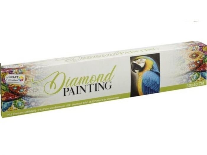 Kaunistamise komplekt Diamond Painting Parrot, 30x40 cm цена и информация | Teemantmaalid, teemanttikandid | kaup24.ee