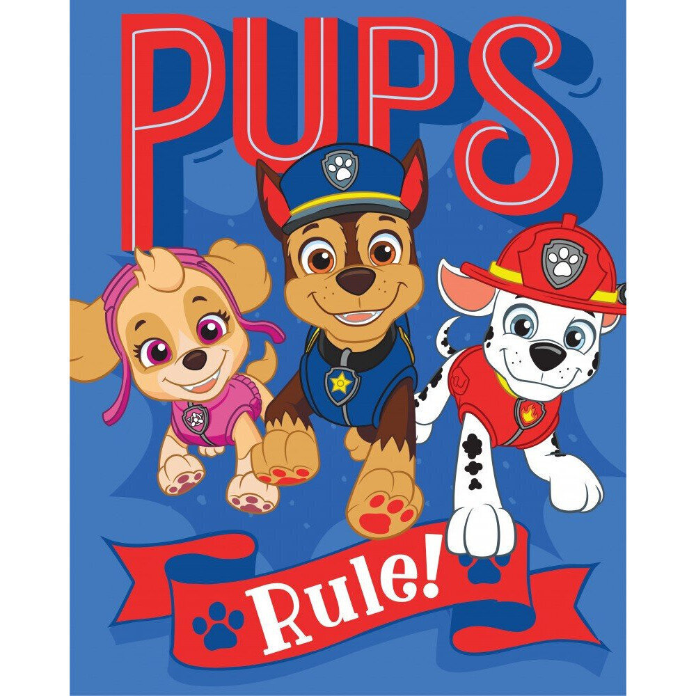 Fliistekk Paw Patrol, 130x170cm hind ja info | Voodikatted, pleedid | kaup24.ee