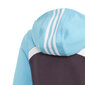 Spordikostüüm Adidas G Hood Cot Ts1, lilla/sinine hind ja info | Komplektid tüdrukutele | kaup24.ee