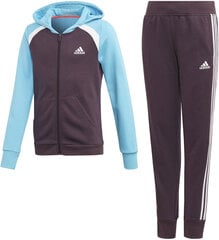 Cпортивный костюм Adidas G Hood Cot Ts1 Purple Blue цена и информация | Комплекты для девочек | kaup24.ee