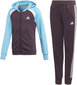 Spordikostüüm Adidas G Hood Cot Ts1, lilla/sinine hind ja info | Komplektid tüdrukutele | kaup24.ee