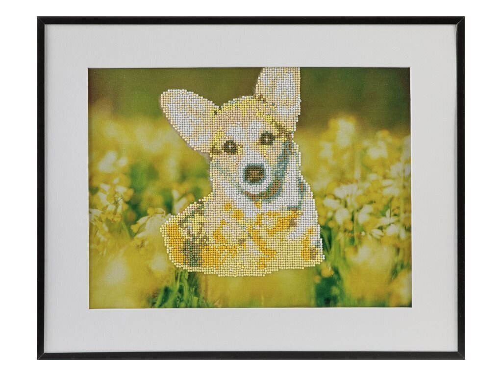 Kaunistamise komplekt Diamond Painting Dog, 40x50 cm hind ja info | Teemantmaalid, teemanttikandid | kaup24.ee