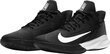 Meeste tossud Nike, CK1069-001 hind ja info | Spordi- ja vabaajajalatsid meestele | kaup24.ee