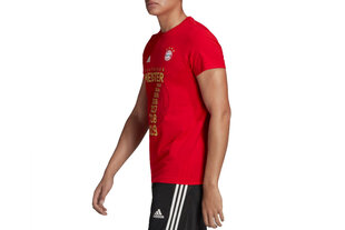 Meeste T-särk Adidas FC Bayern Meister Tee hind ja info | Meeste spordiriided | kaup24.ee