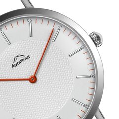 Мужские часы Avontuur 10F1-S18 цена и информация | Мужские часы | kaup24.ee