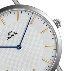 Мужские часы Avontuur 10F2-BR18 цена и информация | Мужские часы | kaup24.ee