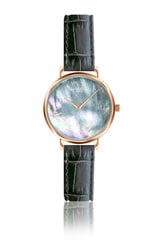 Часы женские Annie Rosewood 12C2-DG14C цена и информация | Женские часы | kaup24.ee