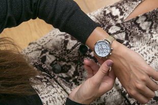 Женские часы Annie Rosewood 10D3-S14C цена и информация | Женские часы | kaup24.ee