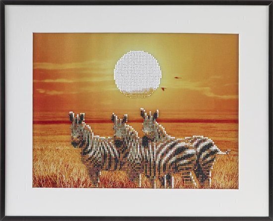 Kaunistamise komplekt Diamond Painting Zebra, 40x50 cm hind ja info | Teemantmaalid, teemanttikandid | kaup24.ee