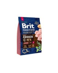 Brit Premium by Nature Junior L полноценный корм для собак 3кг цена и информация | Сухой корм для собак | kaup24.ee