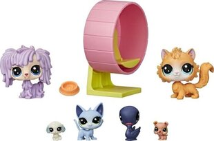 Kujukeste komplekt Playhouse Hasbro Littlest Pet Shop цена и информация | Игрушки для девочек | kaup24.ee