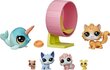 Kujukeste komplekt Playhouse Hasbro Littlest Pet Shop цена и информация | Tüdrukute mänguasjad | kaup24.ee