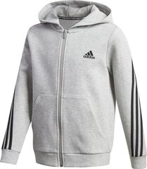 Dressipluus lastele Adidas 3 Stripes FZ GE0662, hall hind ja info | Poiste kampsunid, vestid ja jakid | kaup24.ee