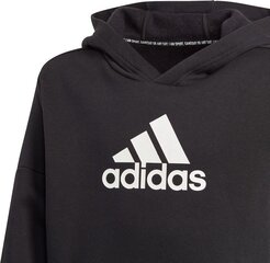 Dressipluus lastele Adidas JR Badge, must цена и информация | Свитеры, жилетки, пиджаки для мальчиков | kaup24.ee