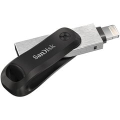 SanDisk SDIX70N-256G-GN6NE цена и информация | USB накопители | kaup24.ee