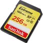 SanDisk Extreme SDXC Card, 256GB hind ja info | Fotoaparaatide mälukaardid | kaup24.ee