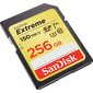 SanDisk Extreme SDXC Card, 256GB цена и информация | Fotoaparaatide mälukaardid | kaup24.ee