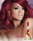 Rihanna Rebelle EDP naistele 100 ml цена и информация | Naiste parfüümid | kaup24.ee