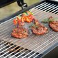 Grillrest hind ja info | Grillitarvikud ja grillnõud | kaup24.ee