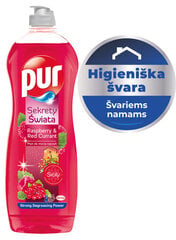 Nõudepesuvahend PUR Power Raspberry, 750ml hind ja info | Nõudepesuvahendid | kaup24.ee