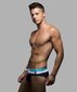 Meeste ujumispüksid Andrew Christian Breakwater Bikini hind ja info | Ujumispüksid, shortsid | kaup24.ee