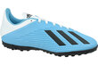 Spordijalatsid Adidas X 19.4 TF F35345, sinine hind ja info | Spordi- ja vabaajajalatsid meestele | kaup24.ee