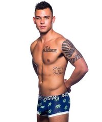 Meeste aluspüksid Andrew Christian Buck Buddy Boxer Almost Naked hind ja info | Meeste aluspesu | kaup24.ee