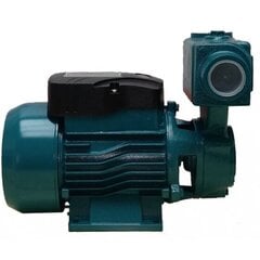 Veepump IBO WZI 250 hind ja info | Puhta vee pumbad | kaup24.ee