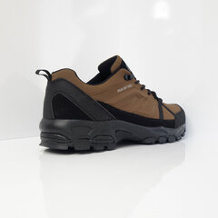 DK Обувь Для мужчин Denver Low Brown цена и информация | Мужские ботинки | kaup24.ee