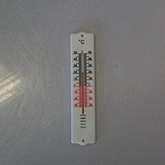 Термометр Axentia, 20 см цена и информация | Метеорологические станции, термометры | kaup24.ee