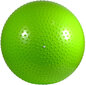 Võimlemispall pumbaga Eb Fit 65 cm, roheline hind ja info | Võimlemispallid | kaup24.ee