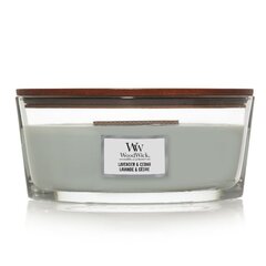 WoodWick ароматическая свеча Lavender & Cedar, 453,6 г цена и информация | Подсвечники, свечи | kaup24.ee