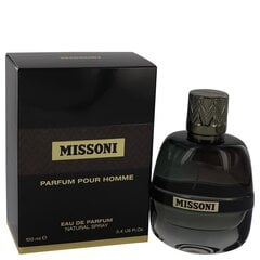 Parfüümvesi Missoni Pour Homme, 100 ml hind ja info | Naiste parfüümid | kaup24.ee