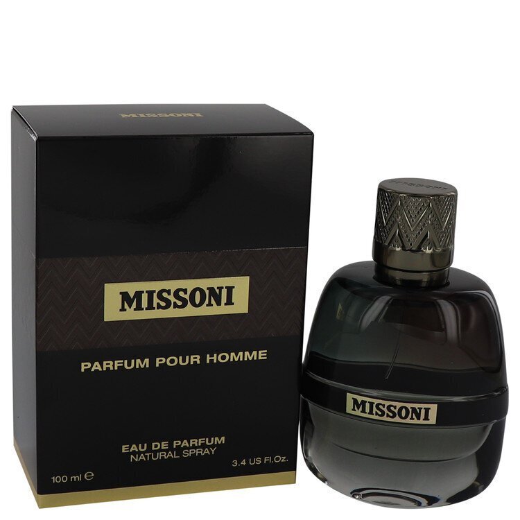 Parfüümvesi Missoni Pour Homme, 100 ml цена и информация | Naiste parfüümid | kaup24.ee