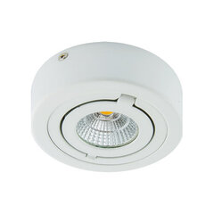 igor led c 6w valge 4000k led cob laevalgusti STRÜHM 43 x 98 x 98 mm hind ja info | Süvistatavad ja LED valgustid | kaup24.ee