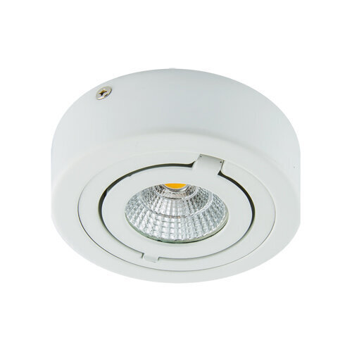 igor led c 6w valge 4000k led cob laevalgusti STRÜHM 43 x 98 x 98 mm цена и информация | Süvistatavad ja LED valgustid | kaup24.ee