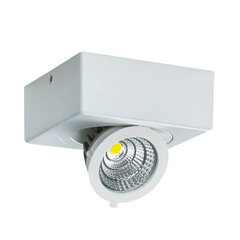 igor led d 6w valge 4000k led cob laevalgusti STRÜHM 43 x 98 x 98 mm цена и информация | Монтируемые светильники, светодиодные панели | kaup24.ee