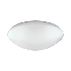 Pотолочный светильник с датчиком движения leon led mvs 16w 4000k STRÜHM (100 x 325 x 325 мм) цена и информация | Монтируемые светильники, светодиодные панели | kaup24.ee