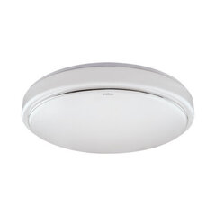 sola led mvs 16w 4000k liikumisanduriga laevalgusti STRÜHM 95 x 325 x 325 mm цена и информация | Потолочные светильники | kaup24.ee