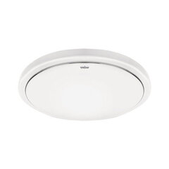 sola led c õhuke mvs 24w 4000k liikumisanduriga laevalgusti STRÜHM 63 x 330 x 330 mm hind ja info | Laelambid | kaup24.ee