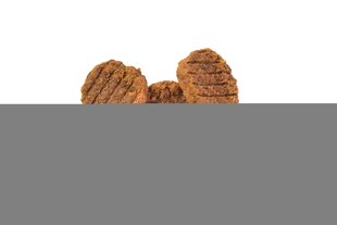 Brit Jerky Puppy Turkey Meaty Coins närimismaius kutsikatele 80g hind ja info | Maiustused koertele | kaup24.ee